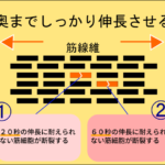 筋肉を奥までの伸ばすストレッチ