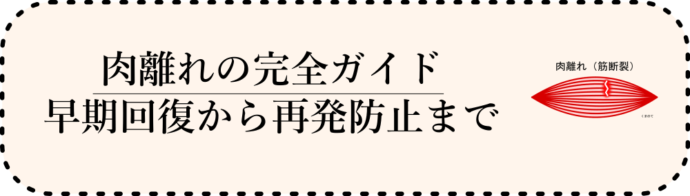 肉離れ完全ガイド