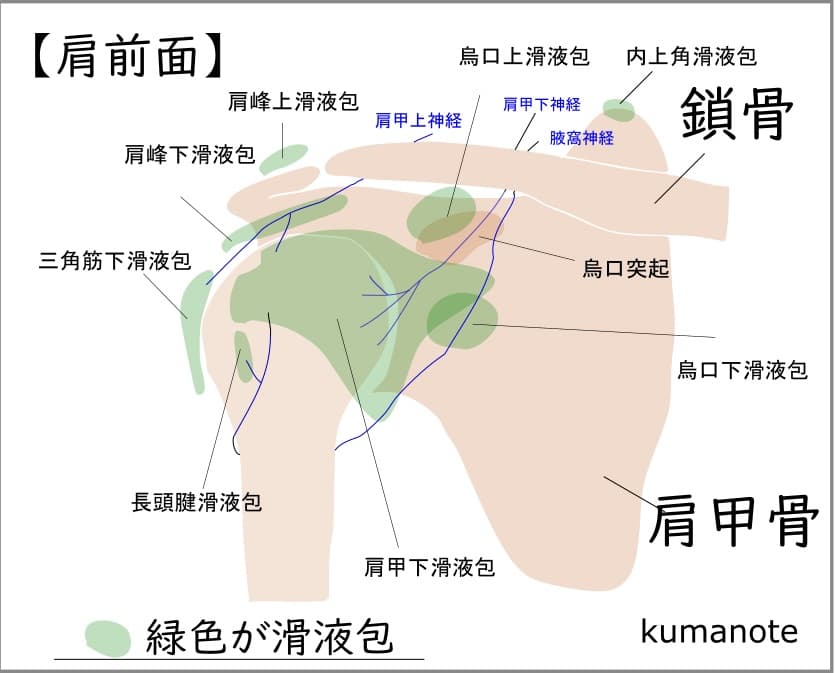 肩滑液包