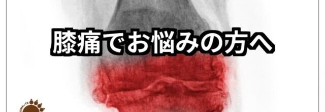 膝の痛みの写真に膝の痛みでお悩みの方へテキスト