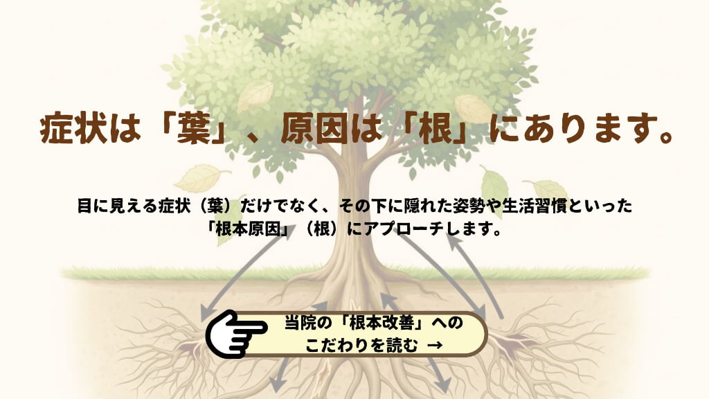 木と根っこのイラストに原因を想像させるテキストに当院の根本改善こだわりページへのリンクボタン