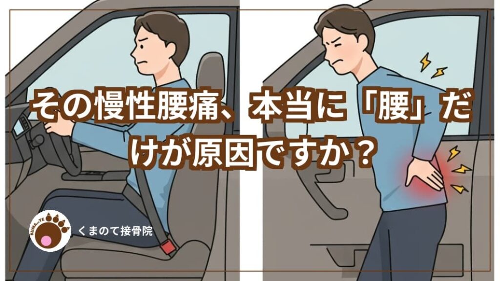 運転後だけ腰が痛むという腰痛とその慢性腰痛の原因