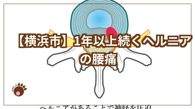 １年以上ヘルニアアイキャッチ画像