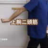 上腕二頭筋のストレッチ