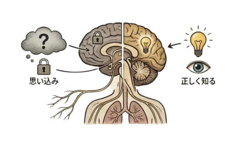 脳の認知