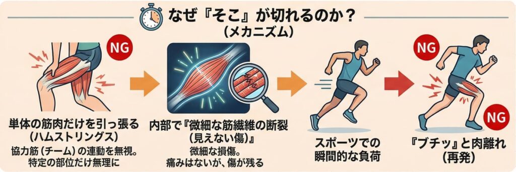肉離れ原因図解
