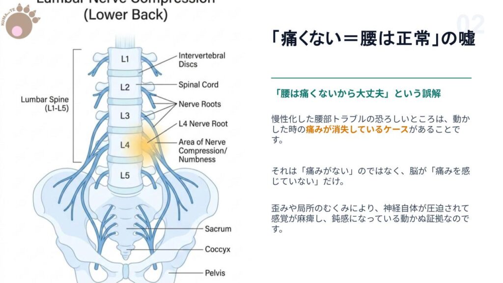 足のおもだるさは腰の神経トラブルが原因かもスライド2