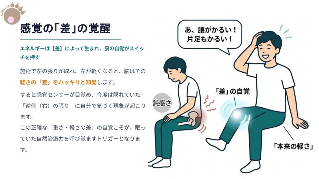 近赤外線(スーパーライザーなど)を腰椎部に照射し、手技と組み合わせて精密に神経の緊張を緩和させている施術風景の写真。