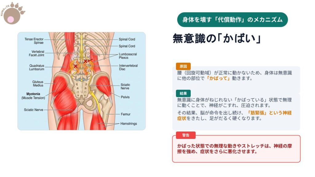 腰が回らないために、背中や膝、足首を不自然にねじってスイングや日常動作を行っている代償動作の仕組み