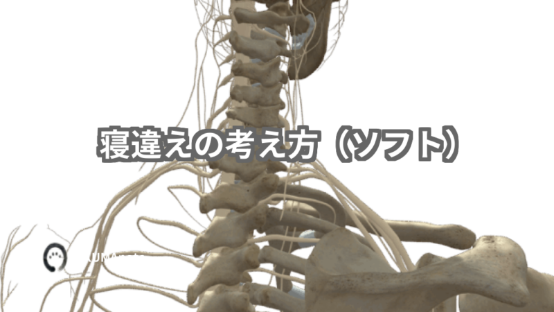 【警告】寝違えは「筋肉」ではなく「神経」の悲鳴。首を揉むと悪化する理由と、当院の最新の見立て
